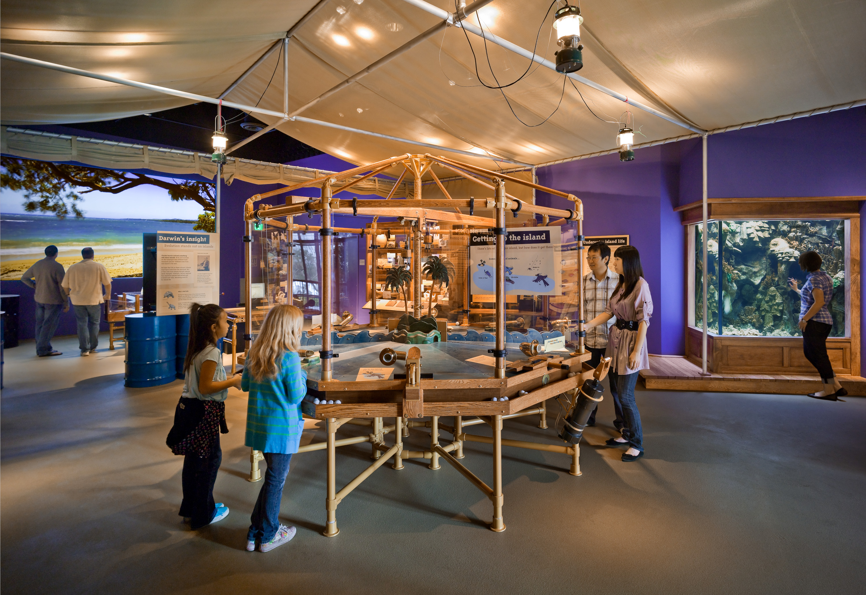 Families interact with exhibits in Ecosystems' Island Zone, featuring a tropical fish tank and island imagery