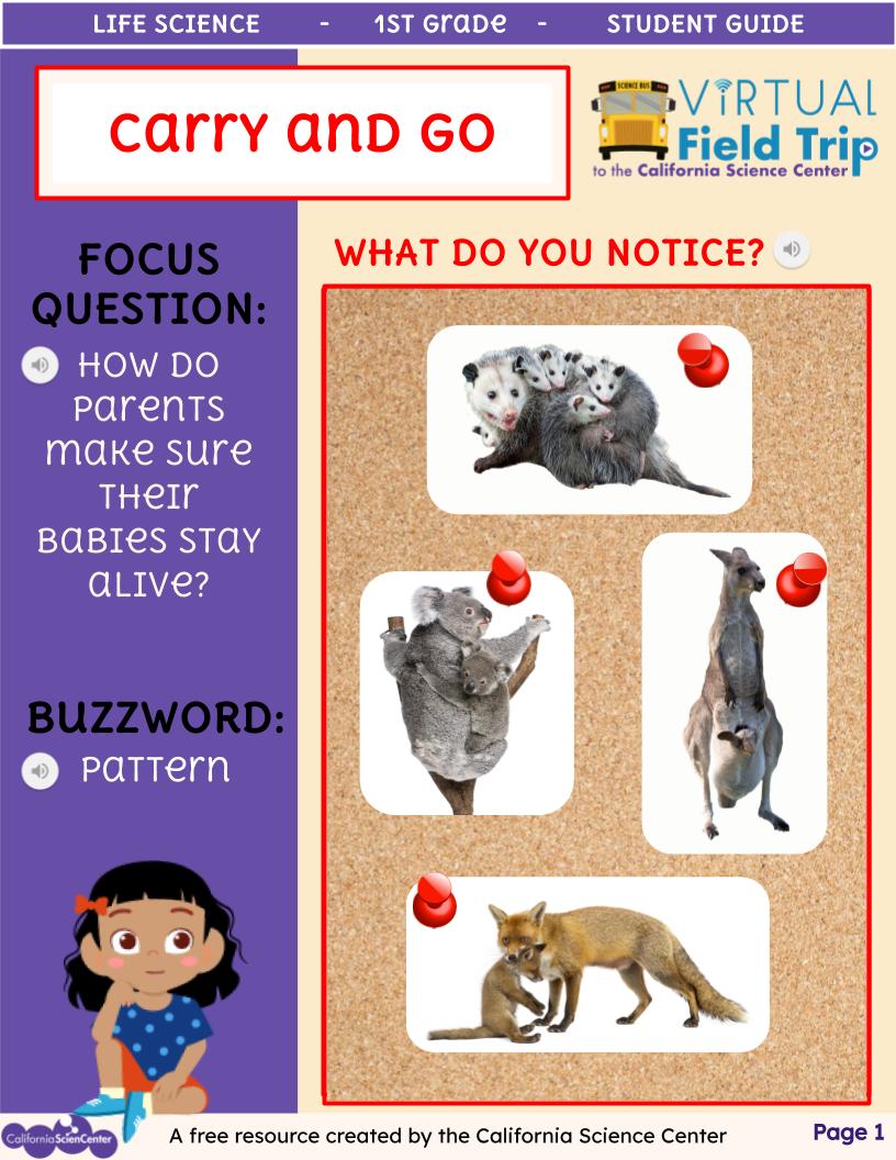 Preview image of English Student Activity Guide