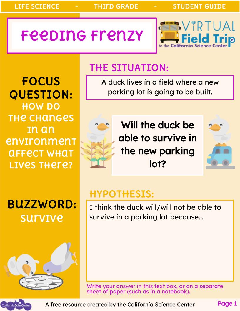 Preview image of student activity guide in English.