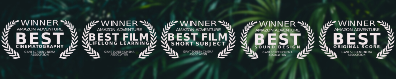 Amazon Adventure 3D award laurels placed on dark green lush leaf background.