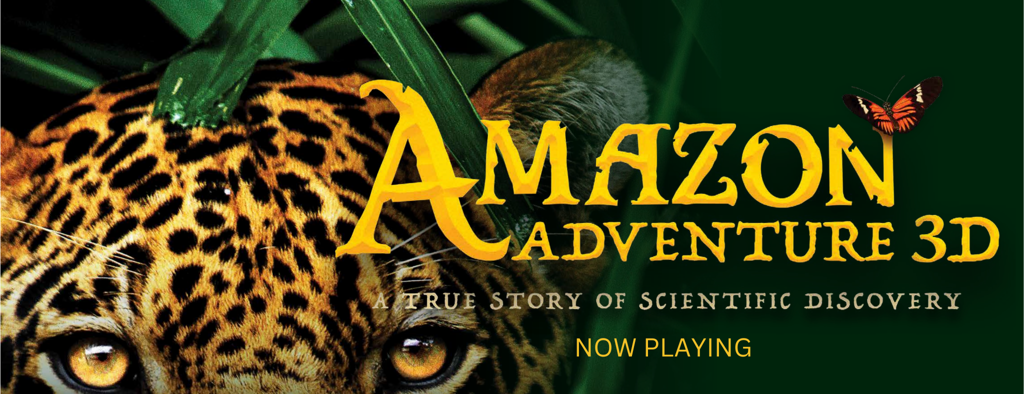 Amazon Adventure 3D logo with now playing messaging displayed on photo of jaguar peering through rainforest brush. 