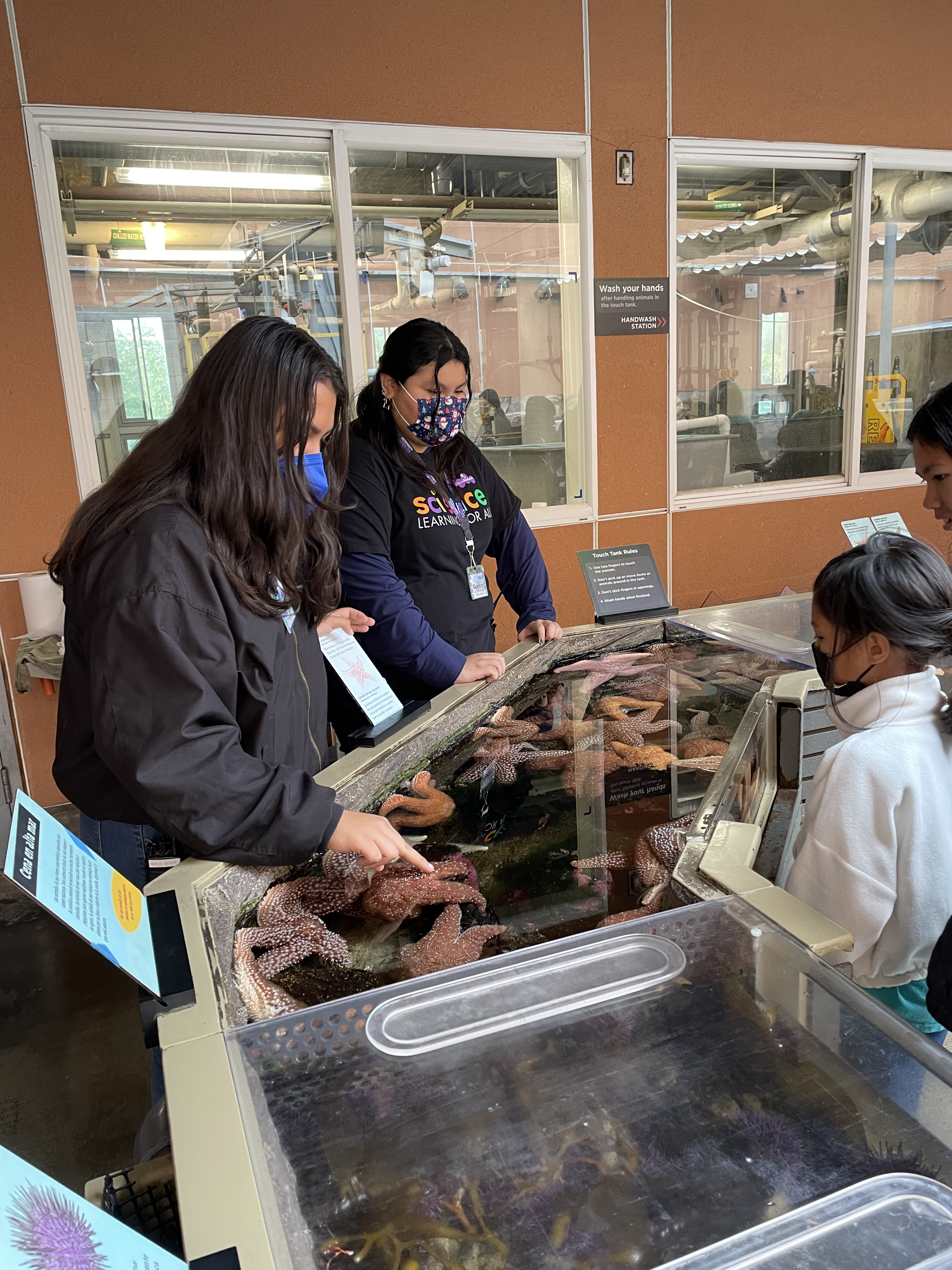 Young guests visit touch tank at Rocky Shore