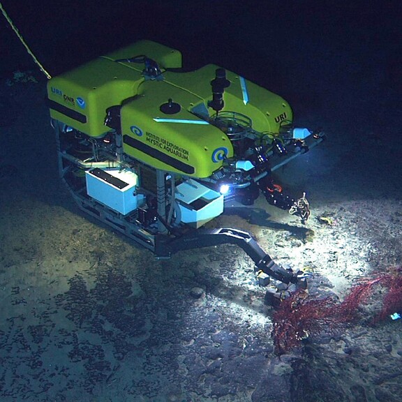 A remote-operated vehicle explores the ocean floor.