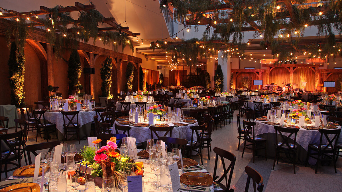 Discovery Ball dinner set up in Edgerton Court with rustic winery decor and overhead greenery on trellises