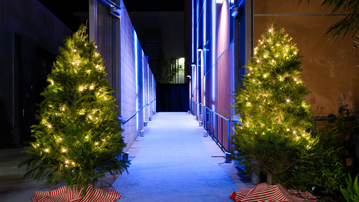 Two Christmas Trees dressed in lights and peppermint striped skirts flank the West Holding event entrance hallway which is lit by blue uplights