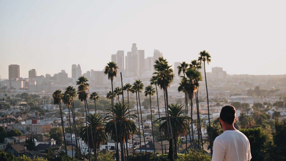 A man looks at the Los Angeles city skyline with palm trees in the foreground