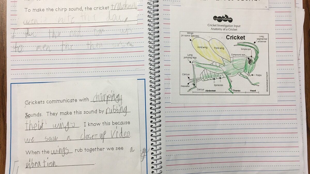 Student notebook featuring first grade physical science content