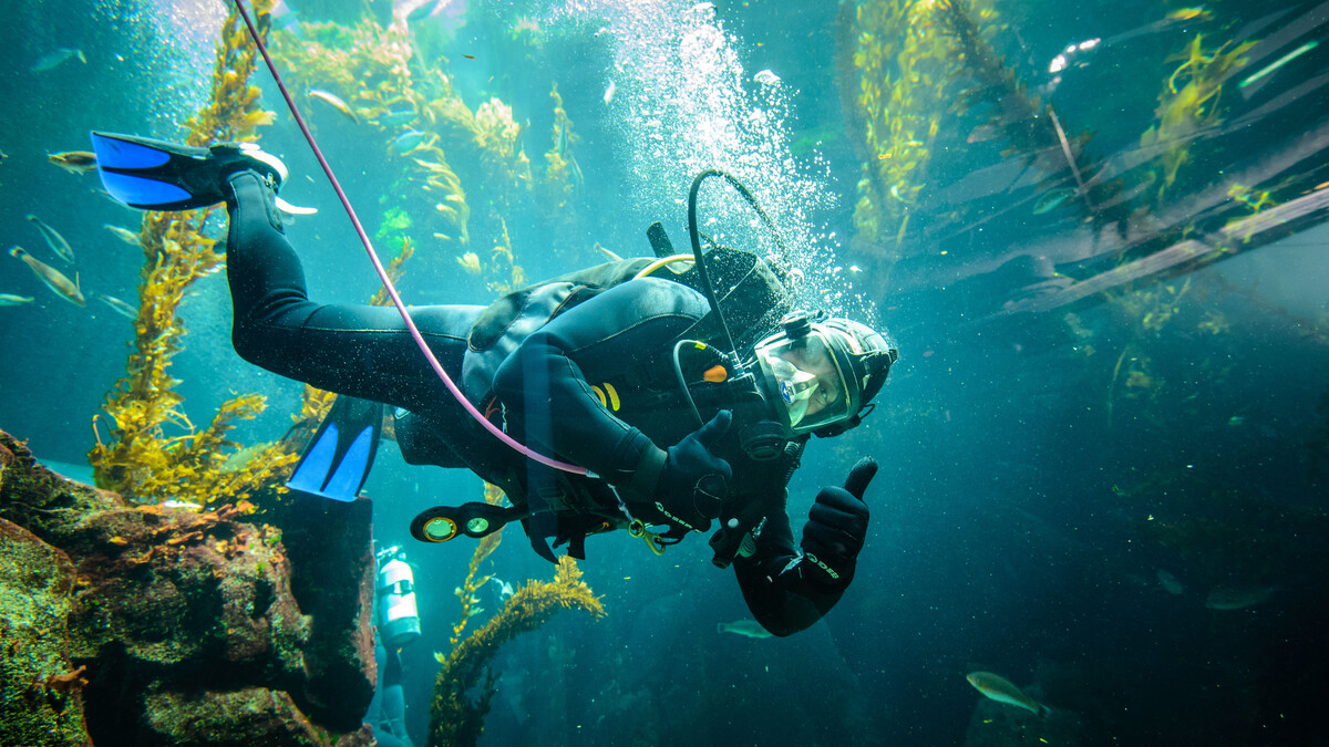 California Science Center dive staff explain their gear