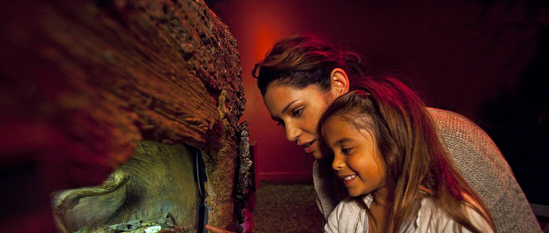 Mother and daughter observing exhibit inside the Rot Room