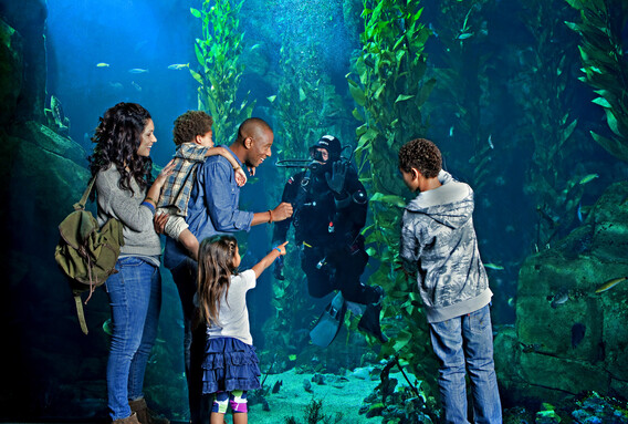 A diverse family greets a diver through the window of the Science Center's Kelp Forest habitat